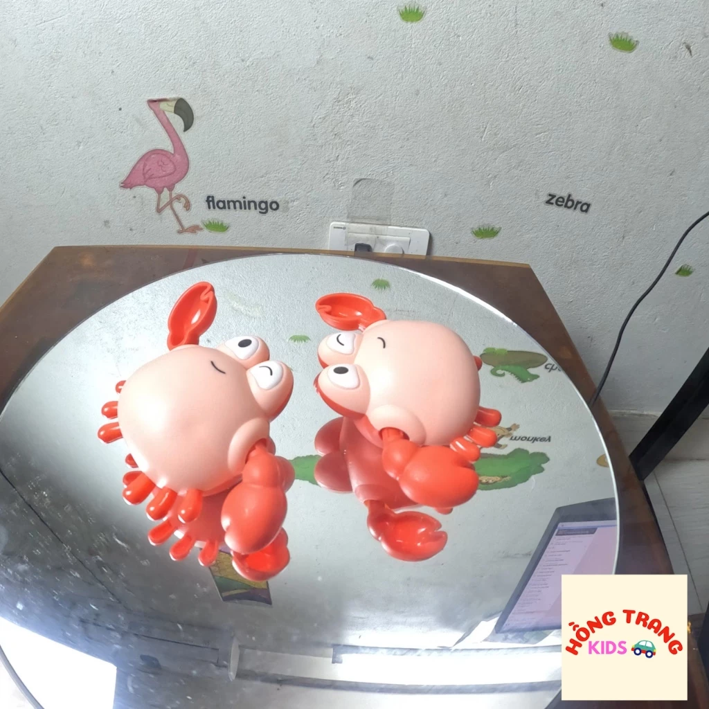 Đồ chơi cua, cá heo bơi - Ảnh 2