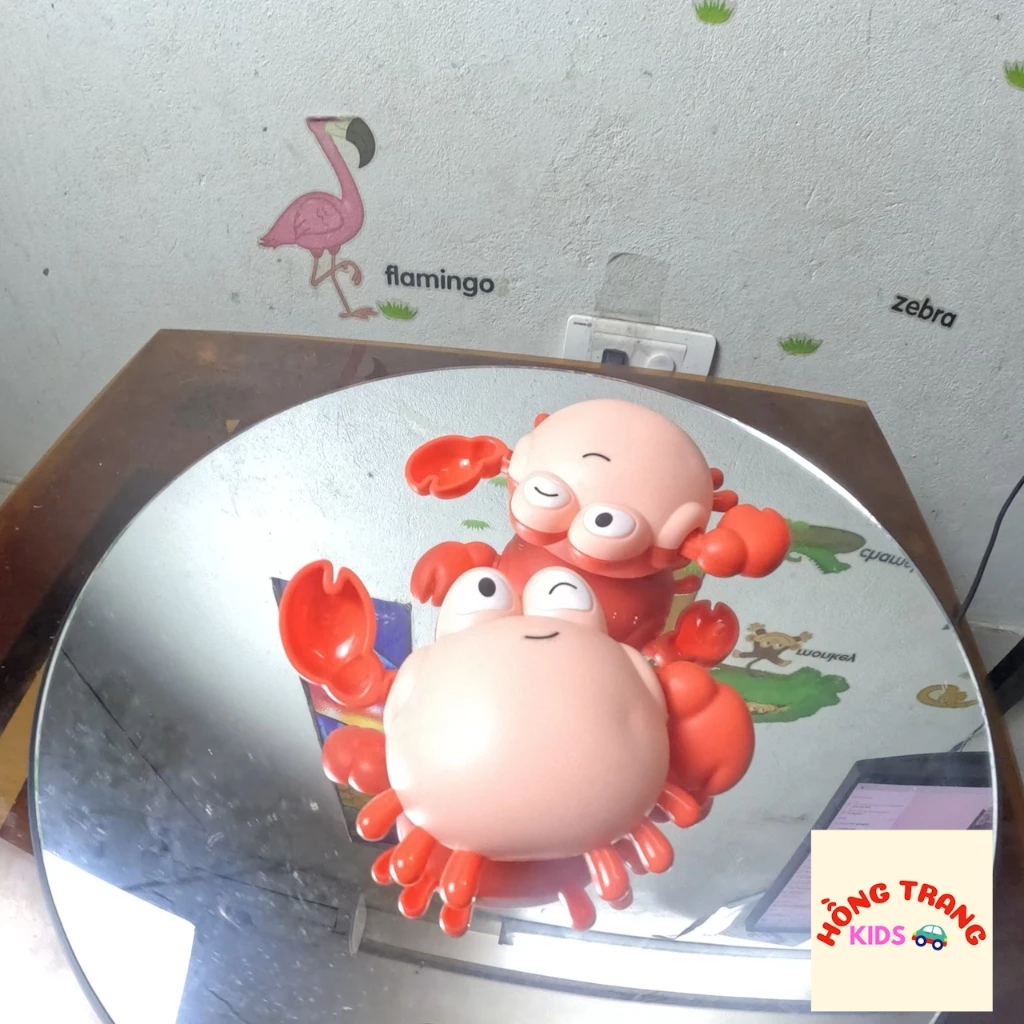 Đồ chơi cua, cá heo bơi - Ảnh 5